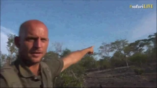 Safari Live : Stefan and the Greater Honeyguide Bird ( Amazing )  Nov 12, 2016