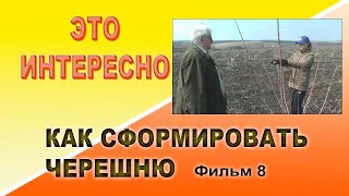 Как сформировать черешню 8