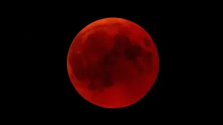 19th Nov Blood Moon Eclipse - The rapture process begins. The Abomination is here.