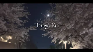 【cherry-blossom viewing】“春よ来い” - 松任谷由美 | 日南乃 cover
