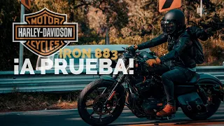 Harley Davidson: Iron 883 | ⚡️ REVIEW | Conducción | Top Speed y detalles ocultos 👊💀