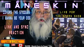 Måneskin - Link and Sync Reaction - Covers the Stooges - I Wanna Be Your Dog Live for the Stern Show