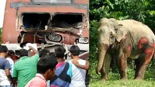 Deadly Accident between train and elephant/Save the #Animals they have also family