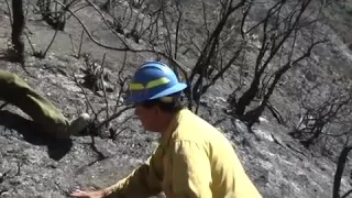 Soberanes Fire Aftermath: Soil Testing
