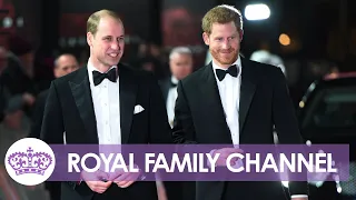 Royal Brothers: The UNBREAKABLE Bond Between Prince William and Harry