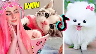 IF YOU DON'T SMILE AT THESE TIKTOK PETS YOU HAVE NO SOUL...
