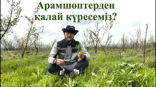 Арамшөптермен қалай күресеміз? Оларды жоюдың ең тиімді әдісі