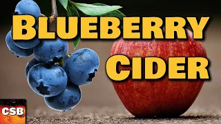 Our BEST Blueberry Cider Recipe! (super easy too)