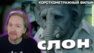 Короткометражка "Слон"| Реакция на короткометражный фильм