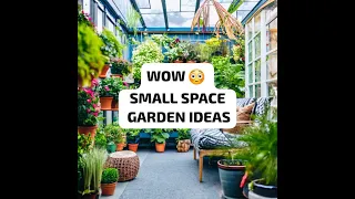 🌱 Small Space Gardening: Creative Ideas for Limited Areas | Urban Oasis Solutions! 🏡