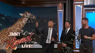 Adorable Baby Animals with Dave Salmoni & Keegan-Michael Key