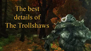 The best details of The Trollshaws | LOTRO