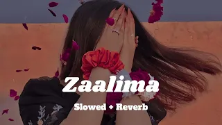 ❣️Zaalima ❣️- (Slowed + Reverb) | Raees | Mahira Khan, Shah Rukh Khan | Arjit Singh