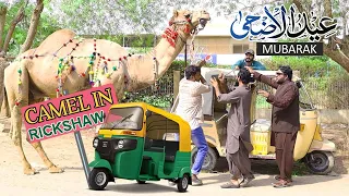 | Camel In Rickshaw Prank | By Nadir Ali & Team In | P 4 Pakao | 2020