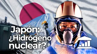 El PLAN de JAPÓN para HUNDIR el PRECIO del PETRÓLEO y el GAS - VisualPolitik