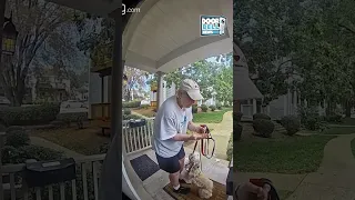 Andy, Get Down Here (Caught on Ring Doorbell)