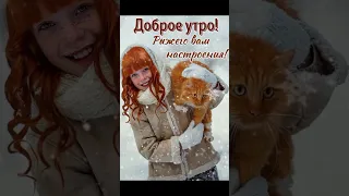 ❄️ Доброго Утра Февраля ☕ Хорошего 🤗 Позитивного Дня и Настроения 😊❤️