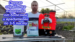 Первая обработка винограда от болезней и вредителей по 3-5 листу.