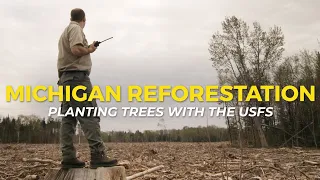 Reforestation in Michigan with the U.S. Forest Service | One Tree Planted