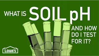 What Is Soil pH & How Do I Test For It? | Gardening Basics w/ William Moss