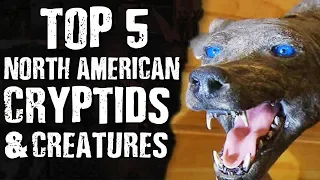 TOP 5 North American CRYPTIDS & CREATURES