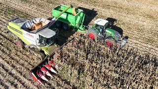 CLAAS LEXION 770TT bei der Körnermais Ernte / Abfahrer FENDT 939 mit Überladewagen / OSTERS & VOß 4K