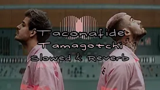 Taconafide - Tamagotchi // Slowed & Reverb