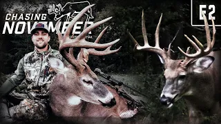 Indiana Stud On Public Hunting Land, Hunting A Giant Missouri Buck With A Bow #hunting #deerhunting