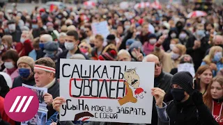 По приказу Лукашенко: в Беларуси начали массово увольнять преподавателей ВУЗов