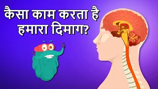 हाउ यूर ब्रेन वर्क्स? | कैसा काम करता है हमारा दिमाग? | How Your Brain Works In Hindi | Dr.Binocs