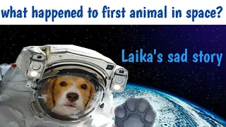 What happened to first animal in space?| Laika's story