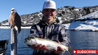 Rainbow Trout Fishing with Dodgers and Hand tied gear! Trolling at Deer Creek res. Early Spring!!!