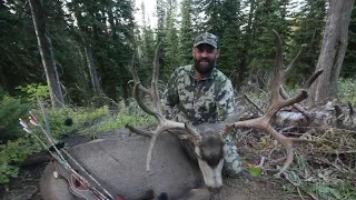 Monster Mule Deer Killed with Traditional Bow