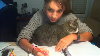 Trying to study with a cat