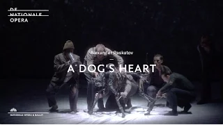 A Dog's Heart | Meet the makers | Complicite