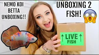 NEMO KOI BETTA FISH UNBOXING!! | UNBOXING 2 BETTA FISH!! | ItsAnnaLouise