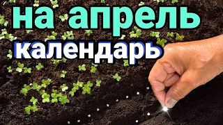 Календарь садовода на апрель 2022. Благоприятные дни работы с рассадой и другими культурами