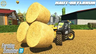 A Day of Yard Work Haut-Beyleron! Farming Simulator 22 - Building the Farm