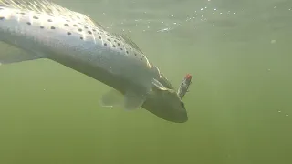 Sanibel Kayak Fishing