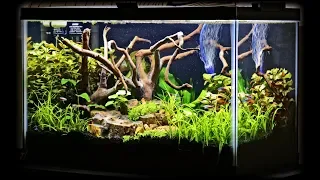 BEST BUDGET Planted Tank Lighting!!