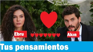 #Hercai # AkinAkinözü # EbruŞahin Your thoughts on Ebru and Akın