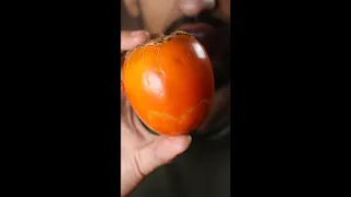 Let's Try Persimmon