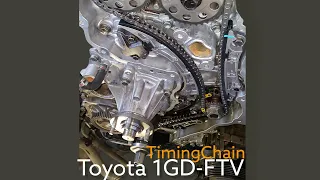 Timing Chain Set-up Toyota 1GD 2GD