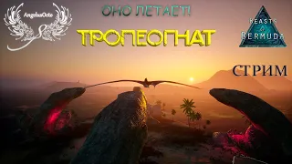 ТРОПЕОГНАТ Beasts of Bermuda I СТРИМ