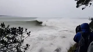 Surfers tackle wild waves amid Cyclone Gabrielle