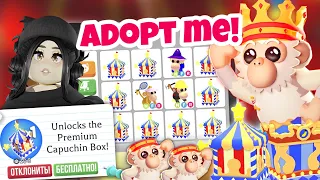 Я в шоке😱ОТКРЫЛА БОКС, а там.. КОДЫ в Adopt Me! НОВОЕ ОБНОВЛЕНИЕ Адопт Ми ЦИРК С ОБЕЗЬЯНАМИ ПОЛУЧИ!