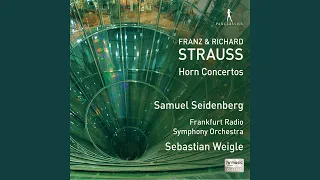 Horn Concerto No. 1 in E-Flat Major, Op. 11, TrV 117: II. Andante