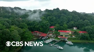 Inside the Smithsonian's tropical forest lab