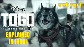 Togo (2019) Film Explained In Hindi | बहादुर Dog की True story जिसे भुला दिया गया | Review In Hindi