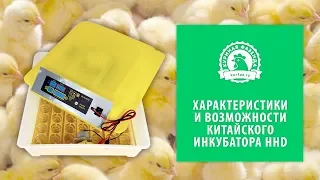 Характеристики китайского инкубатора HHD на 48 яиц. Инкубация куриных яиц. Инкубация перепелиных яиц